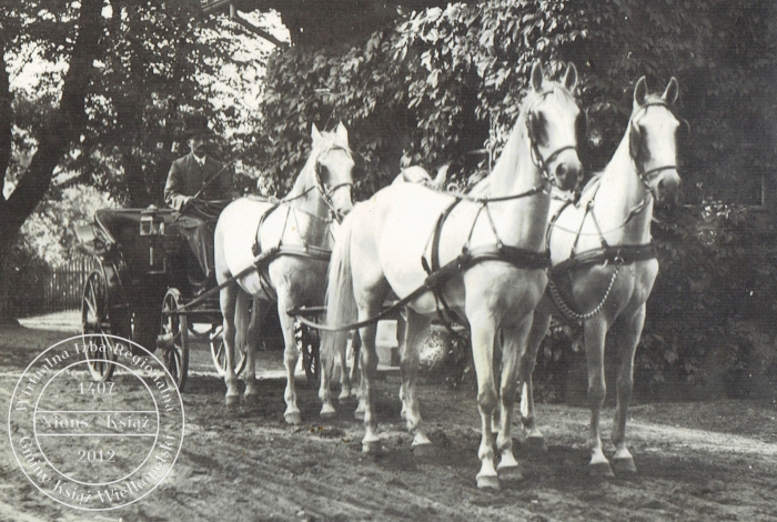 Powóz Państwa Doerfferów - Brzóstownia 1938 r.