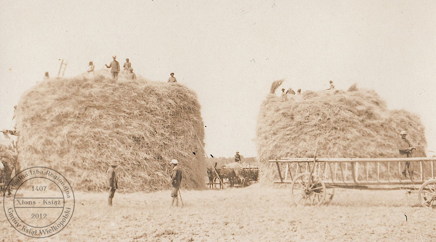 Ustawianie stogów. Kołacin, około 1934 r.