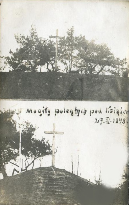 Mogiły poległych pod Książem 29.IV.1848.