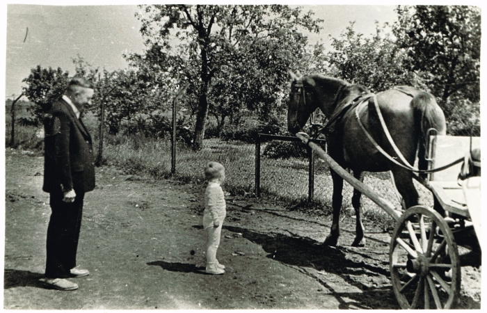 Targowisko. Książ 1963 r.