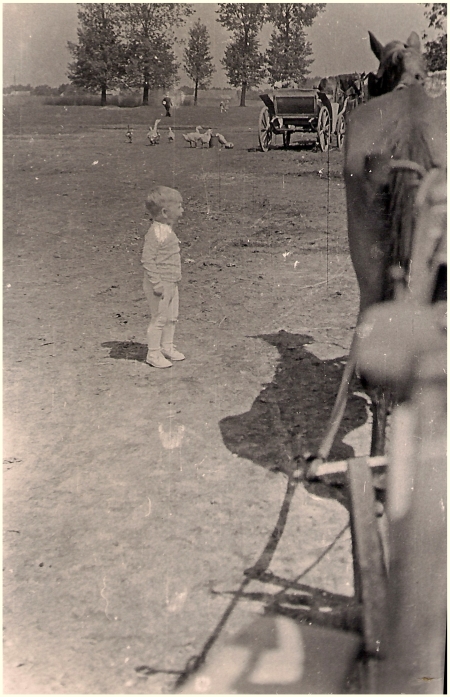 Targowisko. Książ 1963 r.