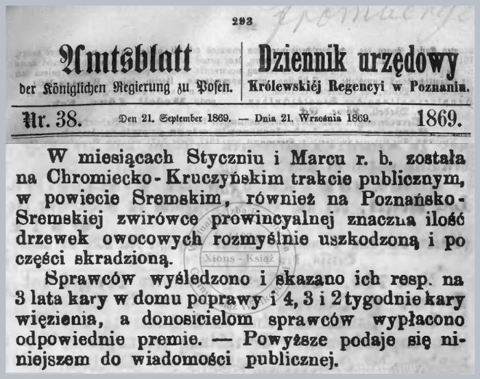 Kradzież drzewek Chromiec - Kruczyn. Dziennik urzędowy 1869 r. 