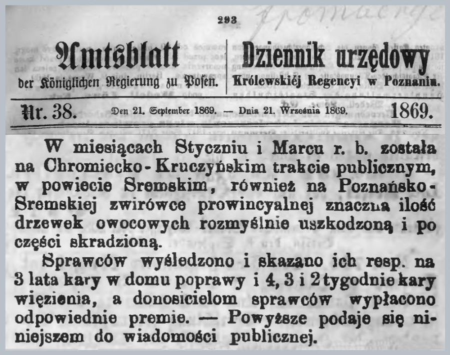 Kradzież drzewek Chromiec - Kruczyn. Dziennik urzędowy 1869 r. 