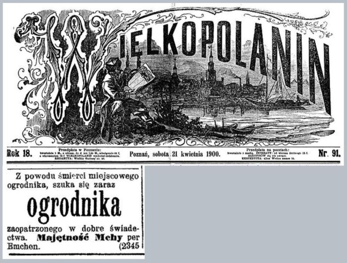 Ogrodnik poszukiwany. Mchy. Wielkopolanin - 1900 r.