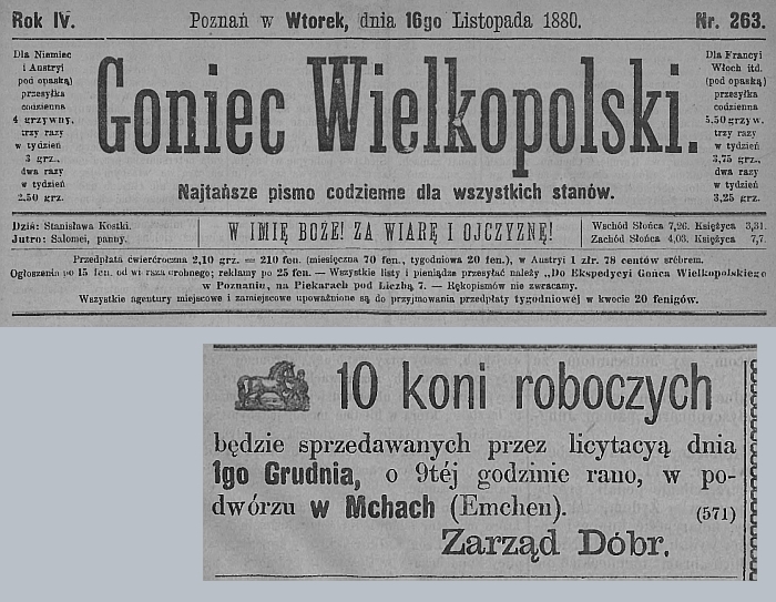 10 koni, licytacja Mchy. Goniec Wielkopolski - 1880 r. 