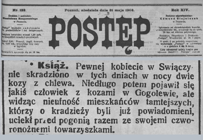 Kradzież kóz. Świączyń. Postęp - 1903 r. 